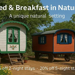 Mammaloe Bed & Breakfast